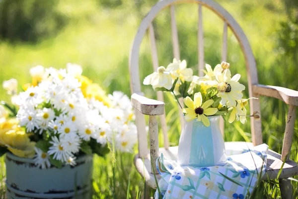 Jardineros en Barberá del Vallès: Servicios Profesionales para tu Jardín